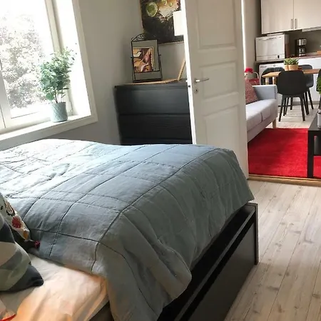 Nice In City Centre Apartment Tonsberg