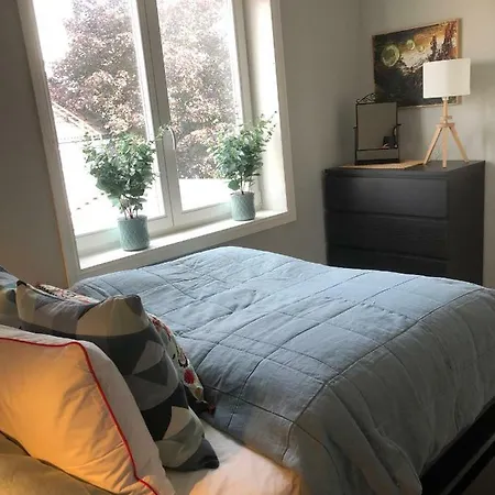 Nice In City Centre Apartment